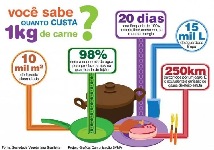 impacto-ambiental-do-consumo-de-carne