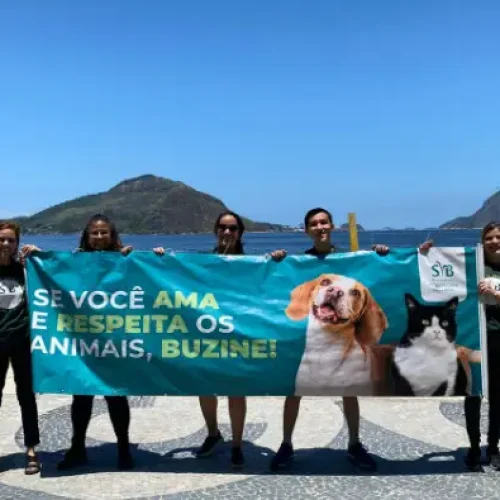 Ações em semáforos marcaram o Mês do Veganismo em diversas cidades do Brasil